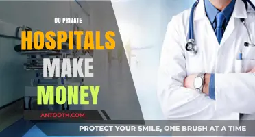 Do Private Hospitals Profit? Unveiling the Financial Dynamics of Healthcare