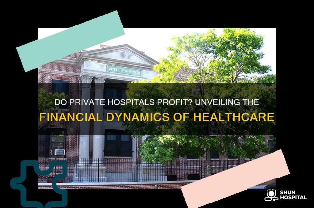 do private hospitals make money