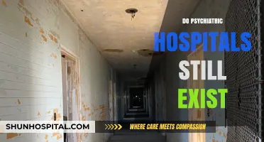 Do Psychiatric Hospitals Still Exist? Exploring Modern Mental Health Care