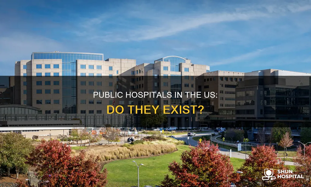 do public hospitals exist in the us