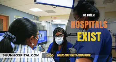 Do Public Hospitals Exist? Exploring Healthcare Accessibility and Funding Models