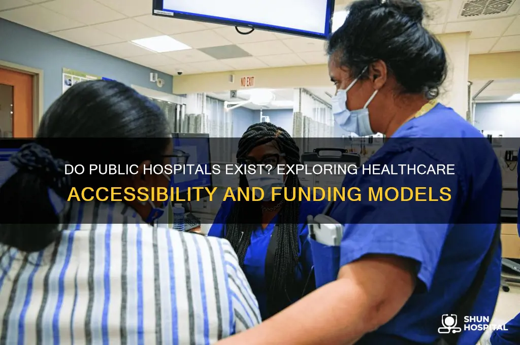 do public hospitals exist
