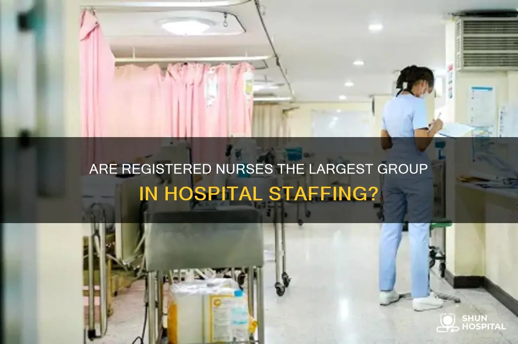 do rns make up the majority of hospital staff
