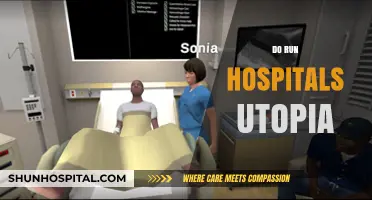 Are Hospitals Utopian? Exploring Healthcare's Ideal vs. Reality
