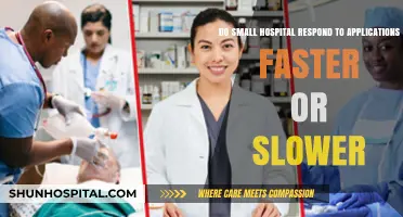 Small Hospitals: Faster or Slower Application Response Times?