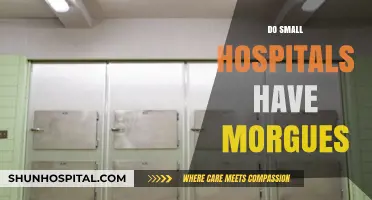 Do Small Hospitals Have Morgues? Exploring Facilities and Practices