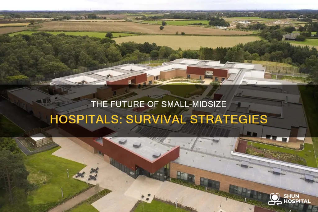 do small to midsize hospitals still exist