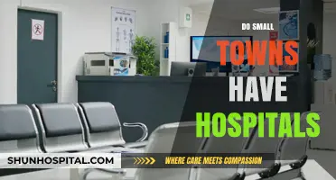 Do Small Towns Have Hospitals? Exploring Rural Healthcare Access