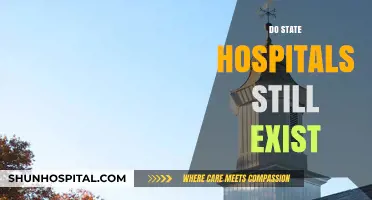 Do State Hospitals Still Exist? Exploring Their Current Role and Relevance
