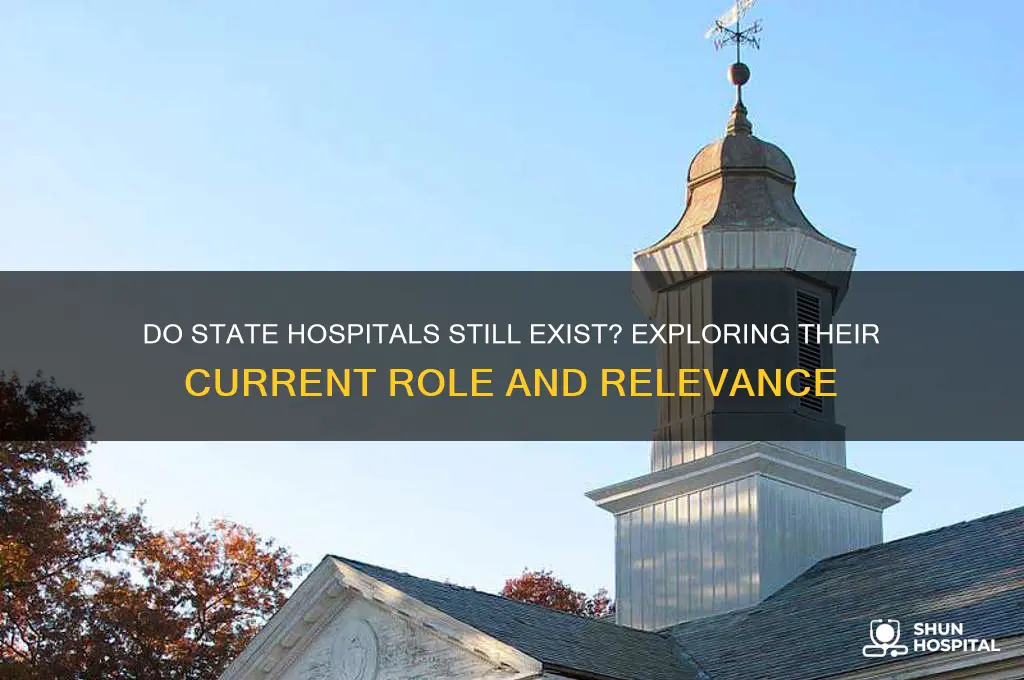 do state hospitals still exist