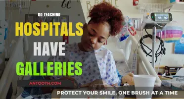 Exploring Teaching Hospitals: Do They Feature Art Galleries?