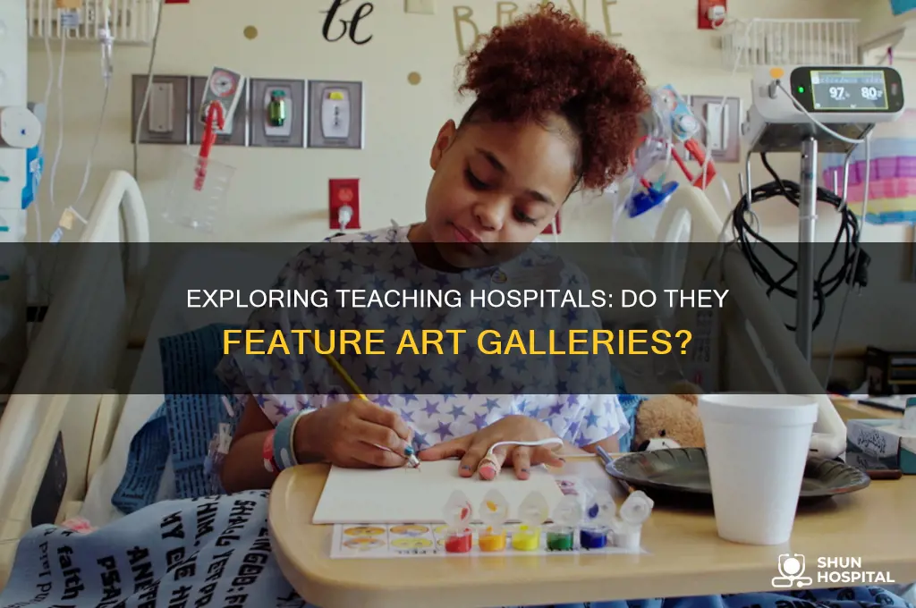do teaching hospitals have galleries