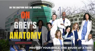 Grey's Anatomy Hospital Purchase: Did the Doctors Buy It?