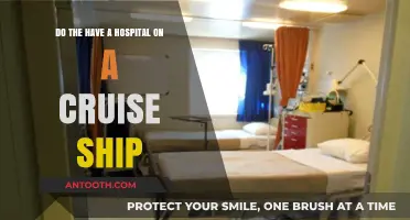 Cruise Ship Medical Care: Are There Hospitals Onboard?