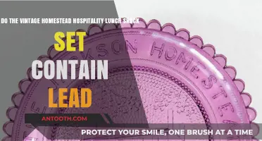 Vintage Homestead Hospitality Lunch Snack Set: Lead Concerns Explored