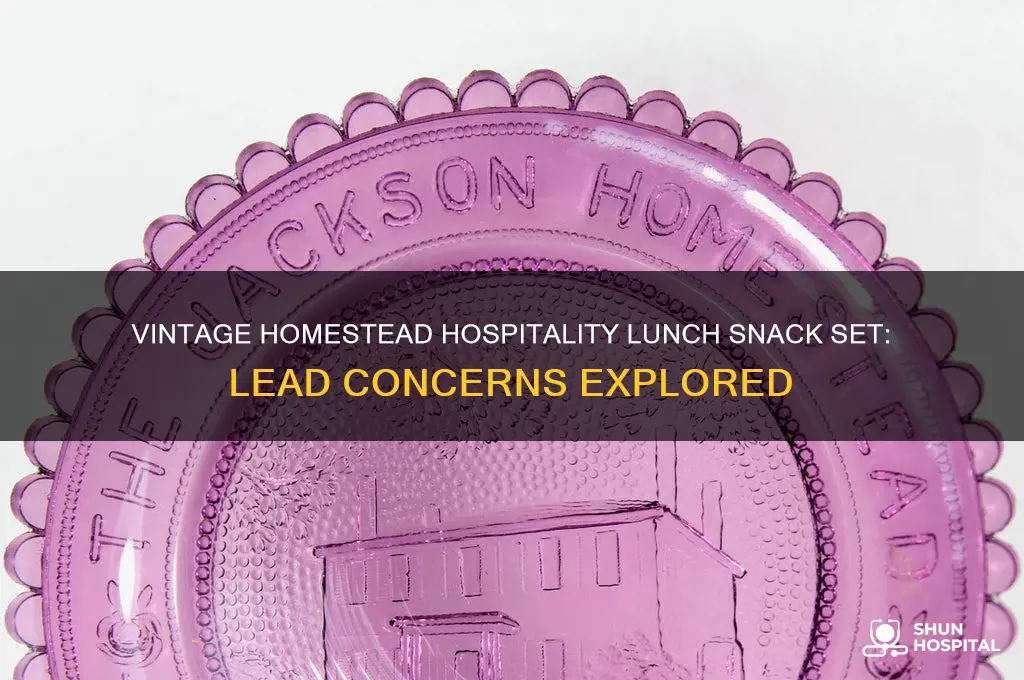 do the vintage homestead hospitality lunch snack set contain lead