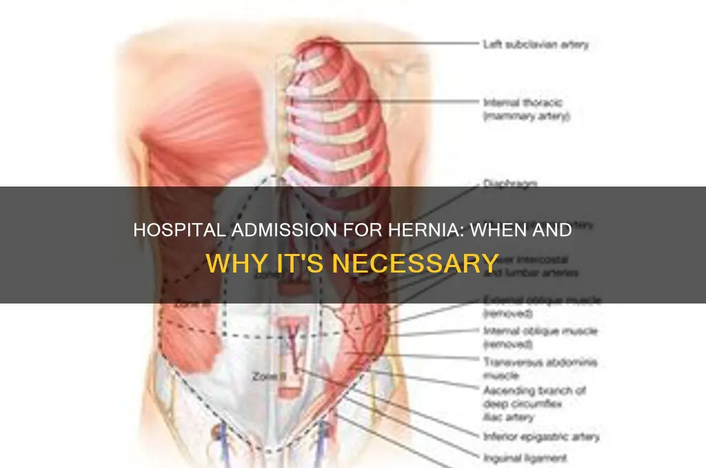 do they admit you to the hospital for hernia