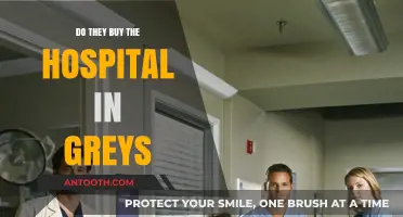 The Hospital's Future: Who Owns Grey Sloan Memorial?