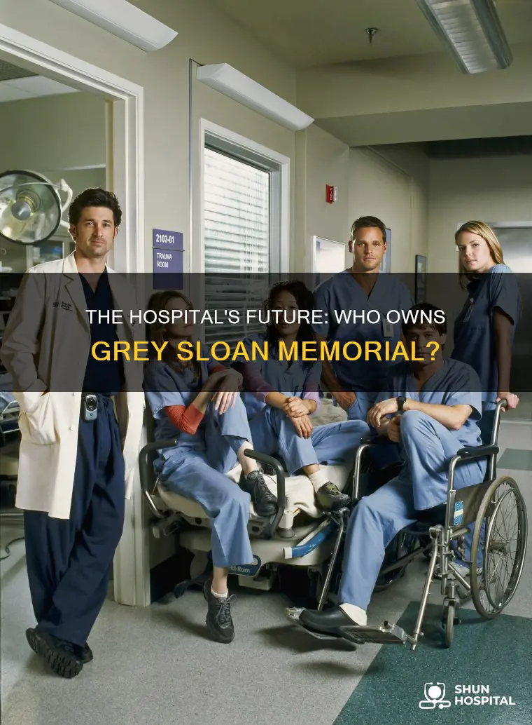 do they buy the hospital in greys