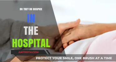 Hospice Care: Hospitals or Home?
