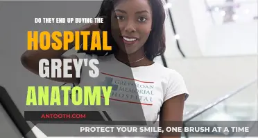 Grey's Anatomy Hospital Purchase: Fact or Fiction?