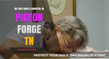 Exploring Healthcare: Is There a Hospital in Pigeon Forge, TN?