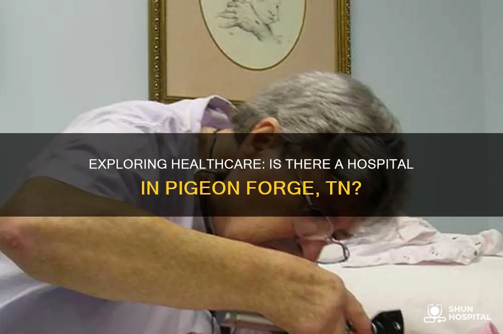 do they have a hospital in pigeon forge tn