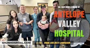 Antelope Valley Hospital Union: Exploring Employee Representation and Rights