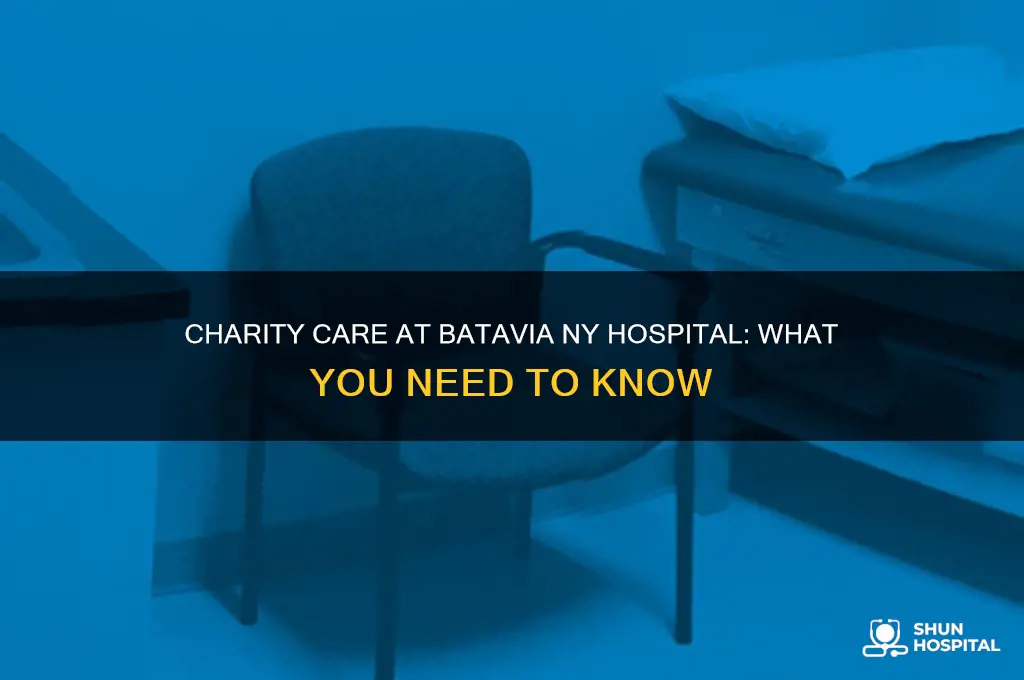 do they have charity care at batavia ny hospital