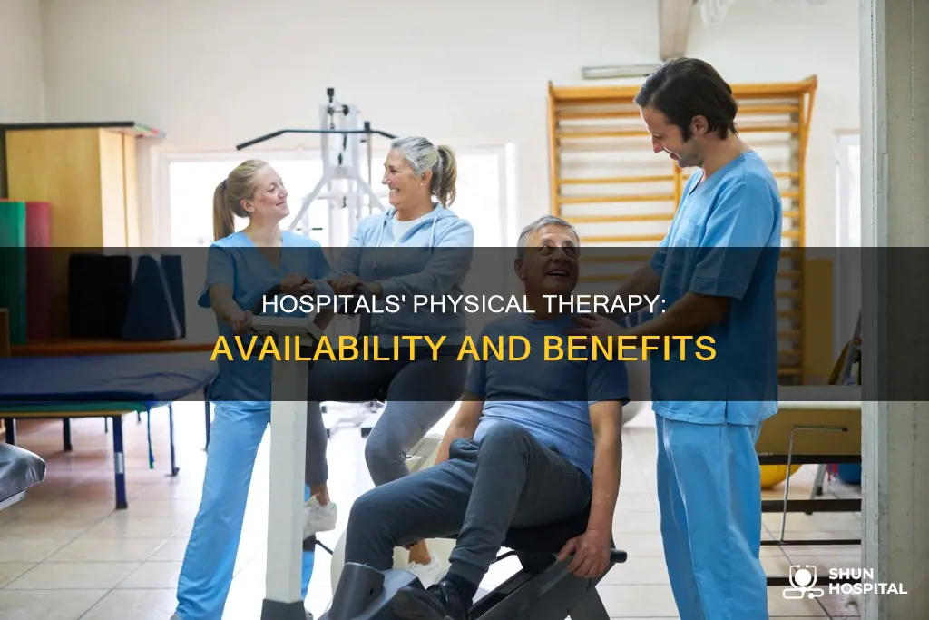 do they have physical therapists in hospitals