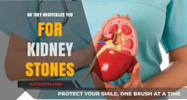 How Kidney Stones Can Land You in the Hospital
