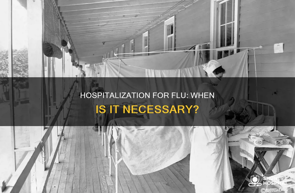 do they hospitalize you for the flu