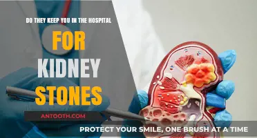 Kidney Stones: Hospital Stay or Outpatient Treatment? What to Expect