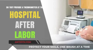 Hospital Post-Labor Care: Do They Provide a Thermometer?