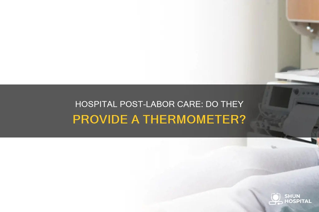 do they provide a thermometer at the hospital after labor