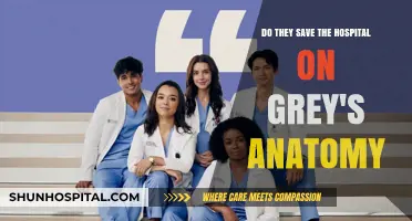 Grey's Anatomy Hospital Crisis: Did They Save It in the End?