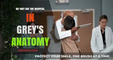Grey's Anatomy Hospital Lawsuits: Fact or Fiction Explained