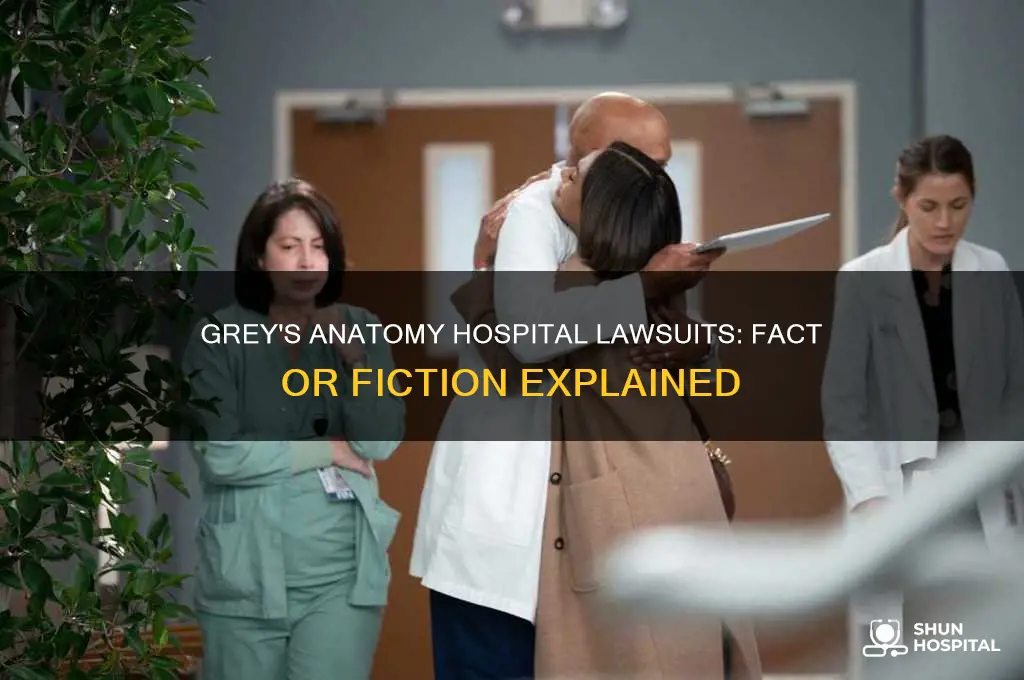 do they sue the hospital in grey