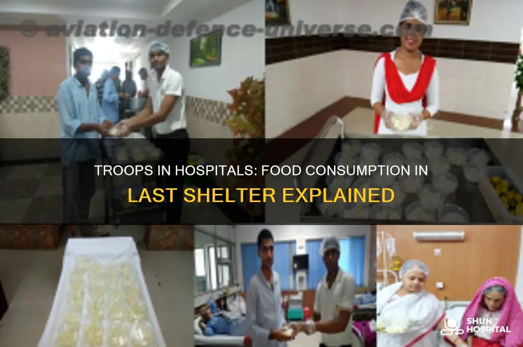 do troops in hospitals consume food in last shelter