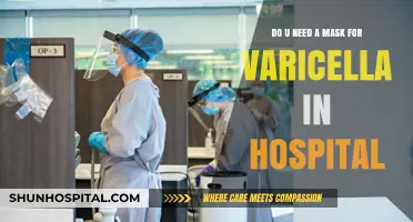 Masks in Hospitals: Are They Necessary for Varicella Protection?