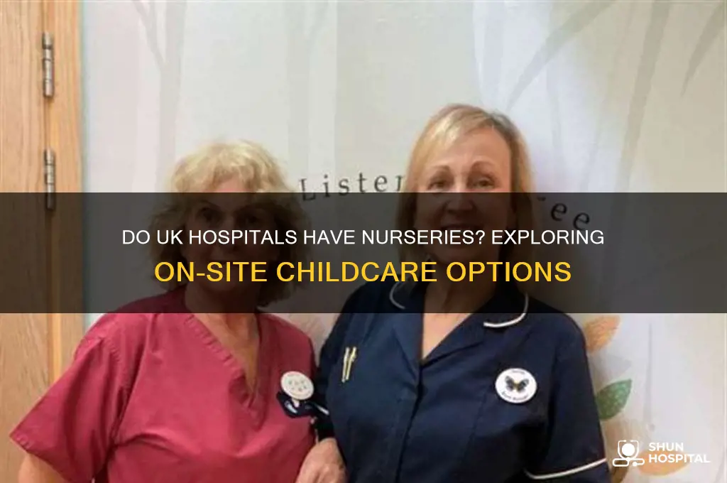 do uk hospitals have nurseries