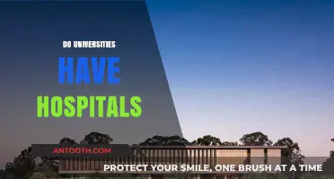 Do Universities Have Hospitals? Exploring Academic Medical Centers