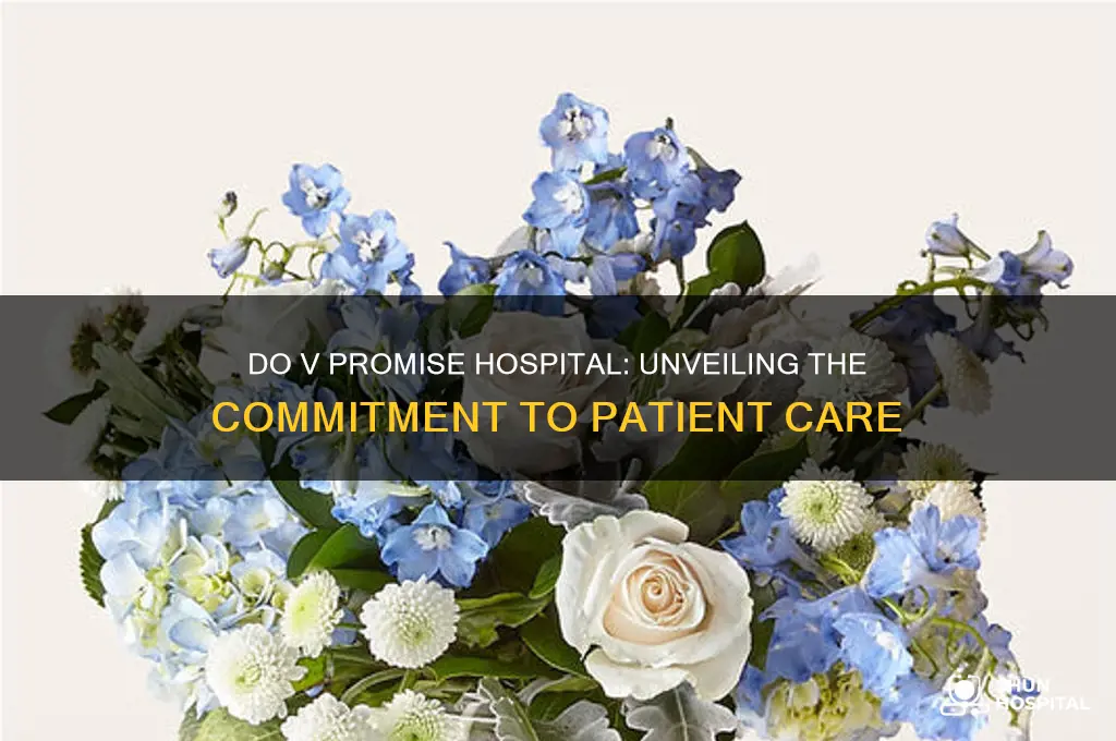 do v promise hospital