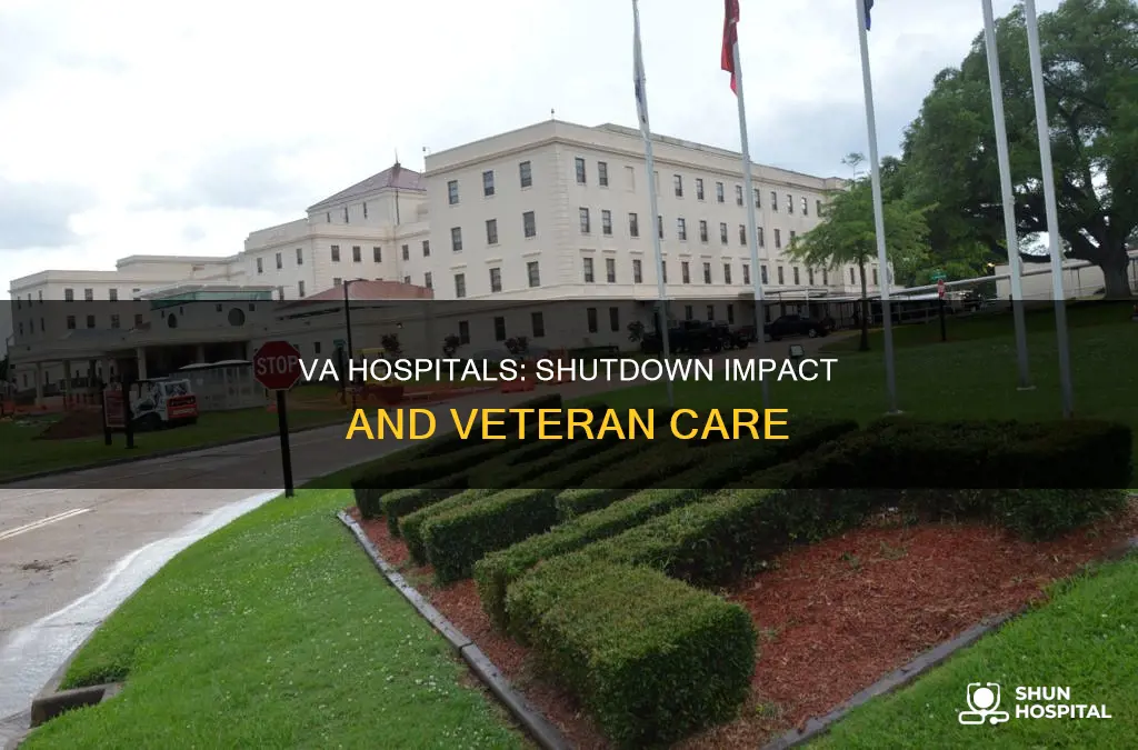 do va hospitals closed during government shutdown