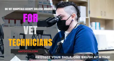 Can College Graduates Work as Vet Technicians in Hospitals?