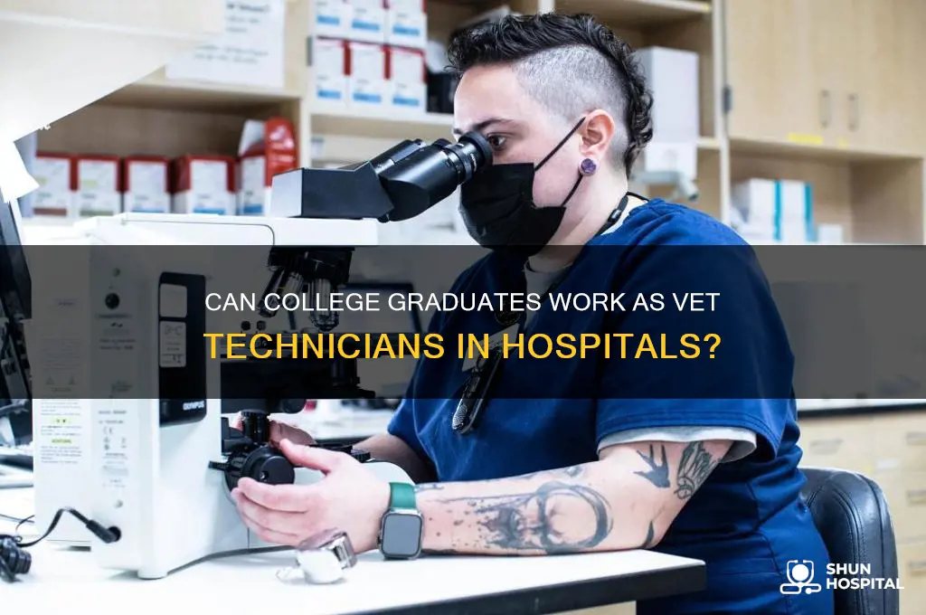 do vet hospitals accept college graduates for vet technicians