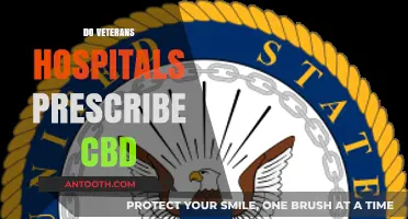 Do Veterans Hospitals Prescribe CBD? Exploring Policies and Practices