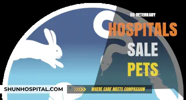Do Veterinary Hospitals Sell Pets? Unraveling the Truth Behind the Myth