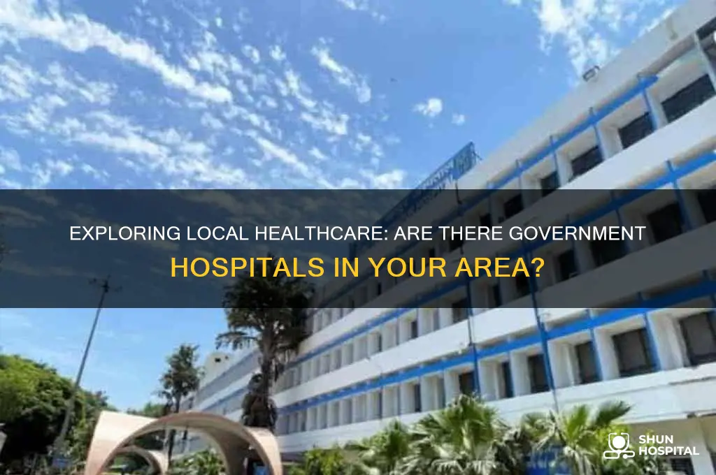 do we have any government hospitals in your area