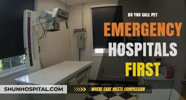 Pet Emergencies: Should You Call the Vet First?